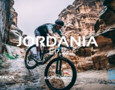 Descubre el impresionante ciclismo de montaña en las montañas de Ajloun en un viaje de turismo en Jordania